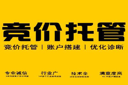 行业报告：专业SEM托管的成功实践与挑战